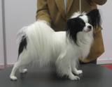 Herbie 3 years