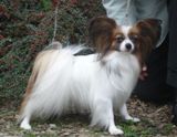 Dilunas Zela 2 years and 9 months